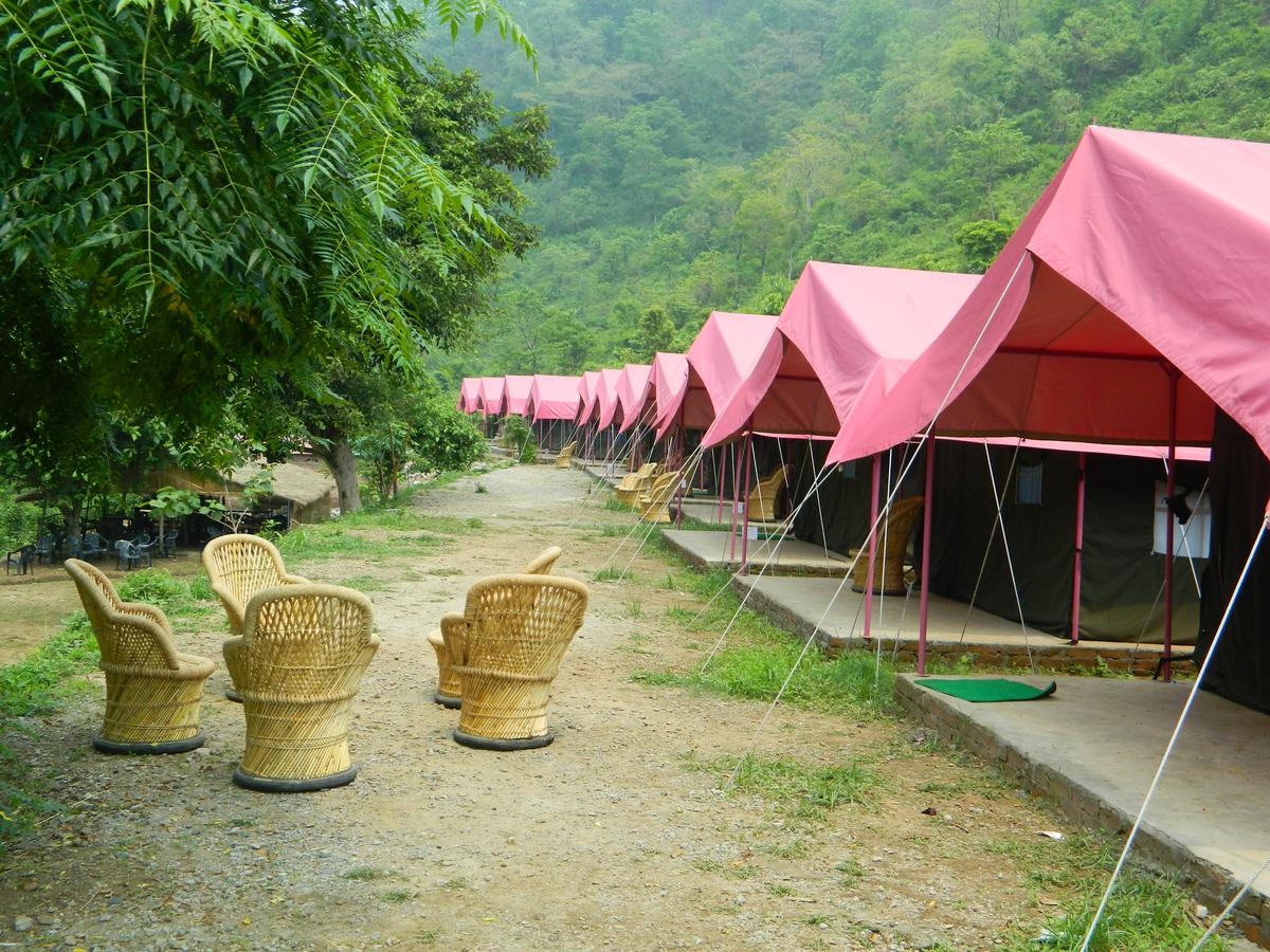 Baravan Camp Dharamshala