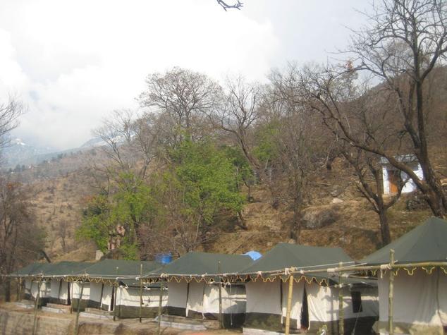 Camp Chrysalid Dharamshala